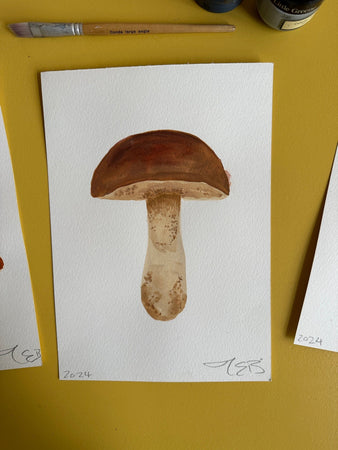 Boletus