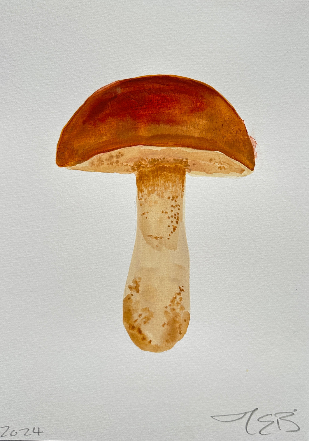 Boletus