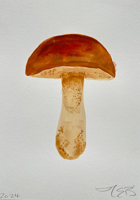 Boletus Blue