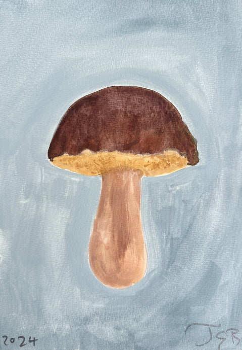 Boletus Blue