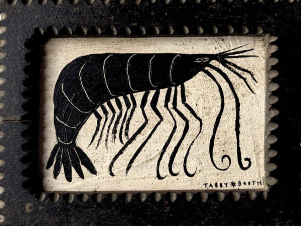 COMMON PRAWN (Framed)