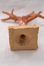 Load image into Gallery viewer, Corail II