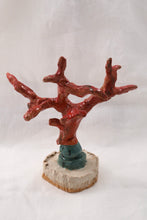 Load image into Gallery viewer, Corail I