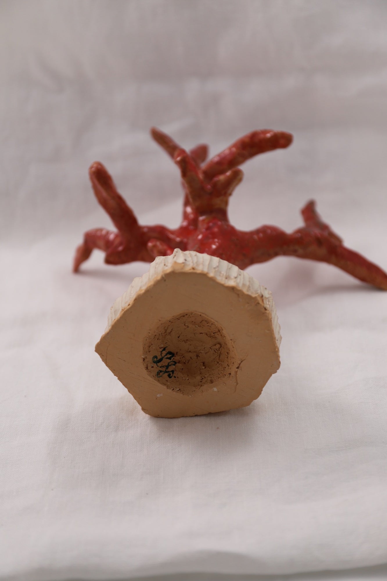 Corail I
