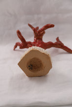 Load image into Gallery viewer, Corail I