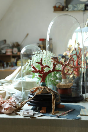 Corail I