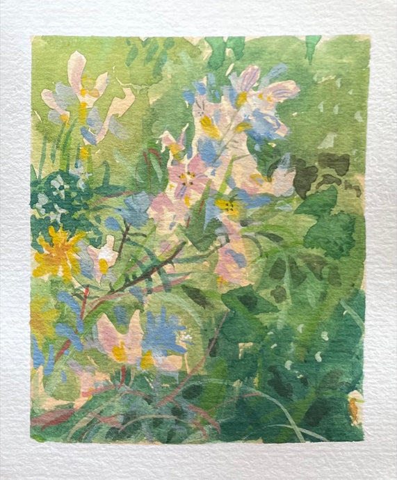 Cuckoo flowers Afternoon