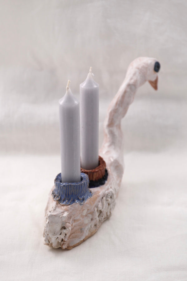 Cygne II