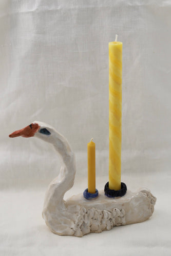 Cygne III