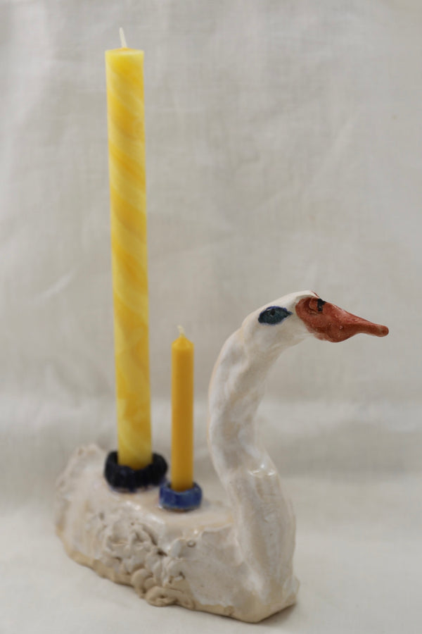 Cygne III