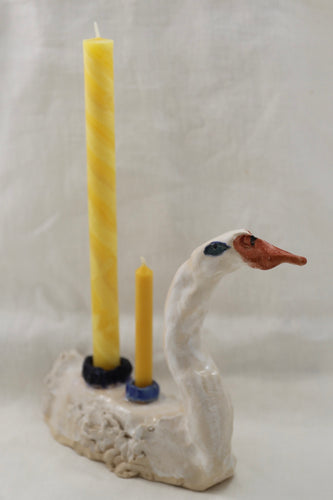 Cygne II