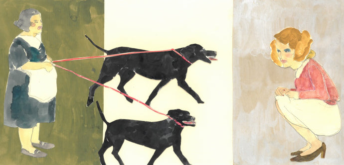 Dog Walker