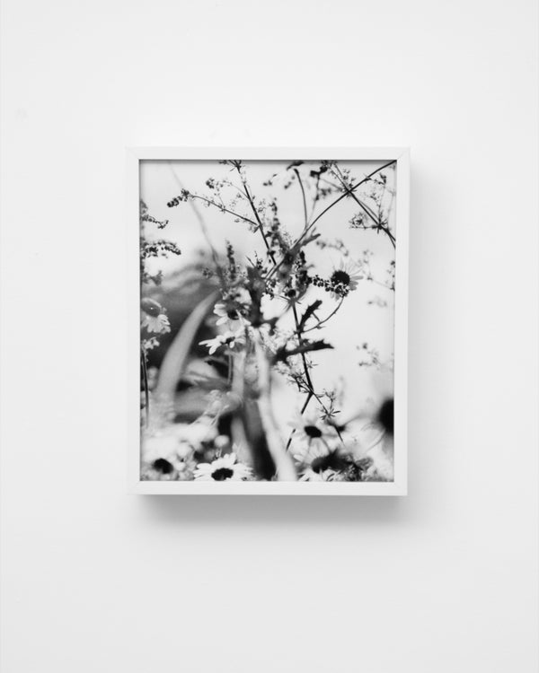 Flowers #2