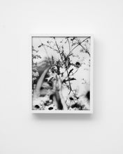 Load image into Gallery viewer, Flowers #2