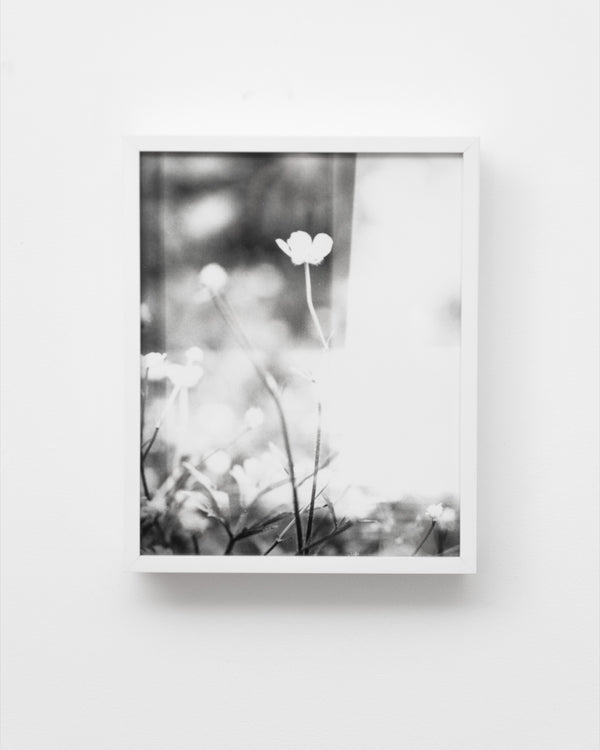 Flowers #1