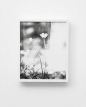 Load image into Gallery viewer, Flowers #1