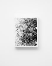 Load image into Gallery viewer, Flowers #4