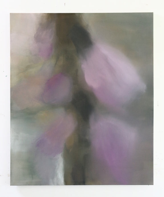 Foxglove
