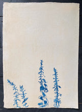 Load image into Gallery viewer, Foxglove Chalk Study II