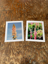 Load image into Gallery viewer, Pink Somerset Foxgloves