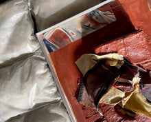 Load image into Gallery viewer, Fugasisime 2 (Framed)