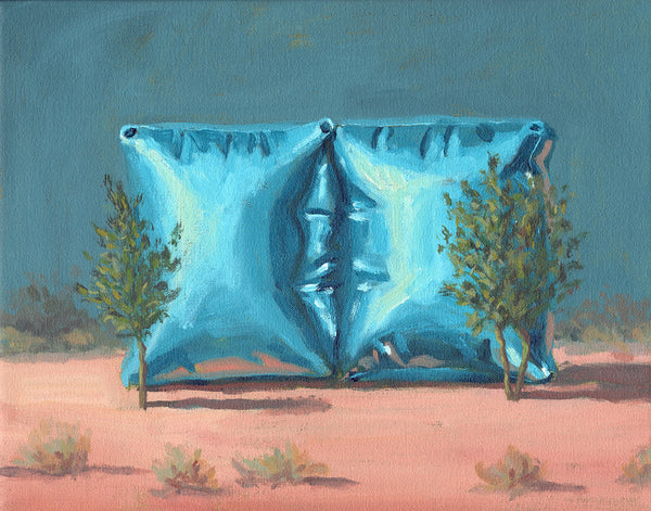 Garden of Forms - Twin Blue Cubes (Framed)