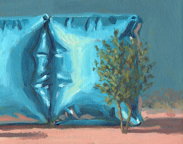 Garden of Forms - Twin Blue Cubes (Framed)