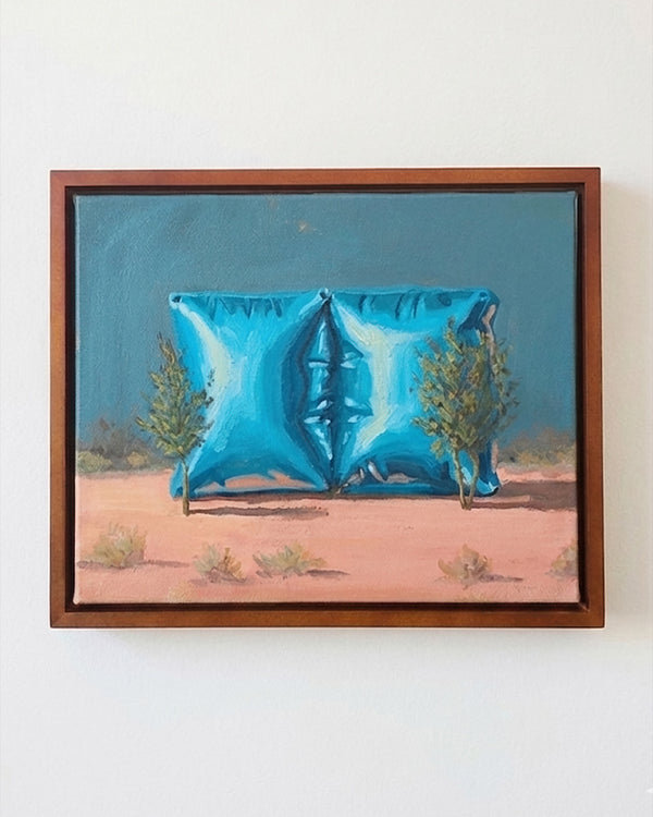 Garden of Forms - Twin Blue Cubes (Framed)
