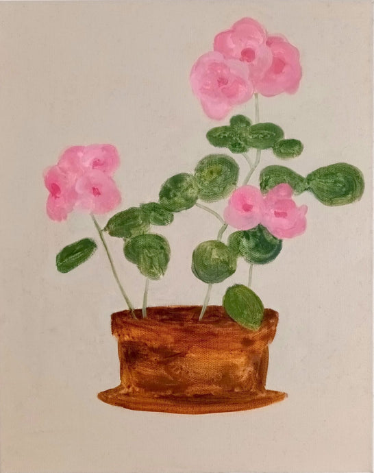 Geraniums