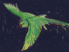 Load image into Gallery viewer, Green Parrot in De Beaviour