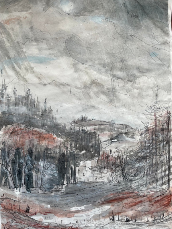 Hafod, December. Triptych