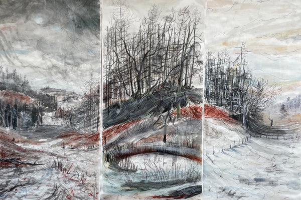 Hafod, December. Triptych