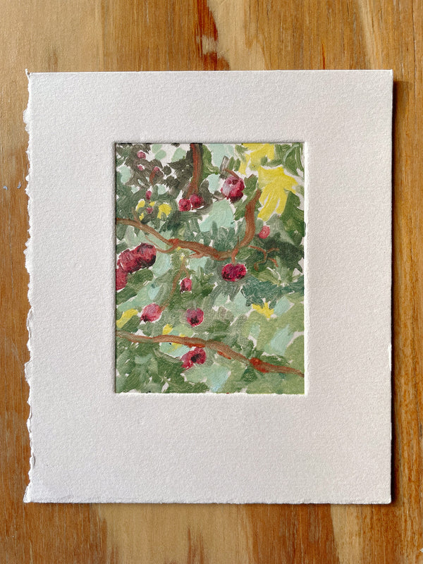 Hawthorn