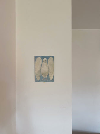 His Wings Were a Shell (Framed)
