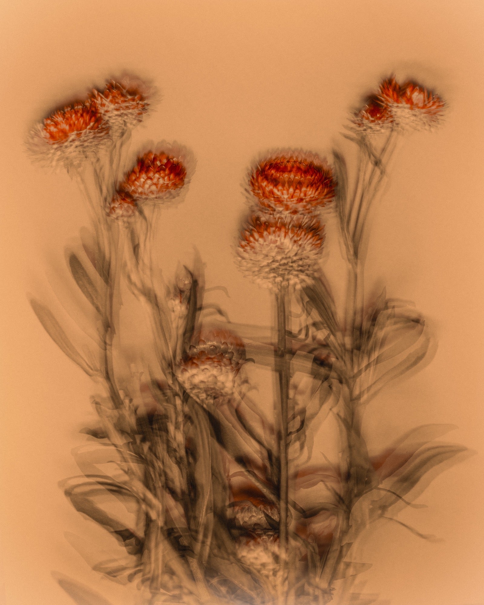 All Artworks | Partnership Editions – Page 3