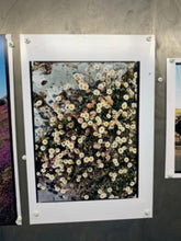 Load image into Gallery viewer, Daisies, Diptych I