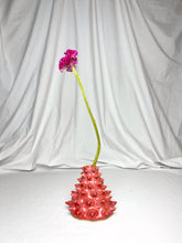 Load image into Gallery viewer, Pink Spikes Solifleur