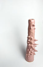 Load image into Gallery viewer, Soft Pink Spikes Solifleur