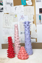 Load image into Gallery viewer, Soft Pink Spikes Solifleur