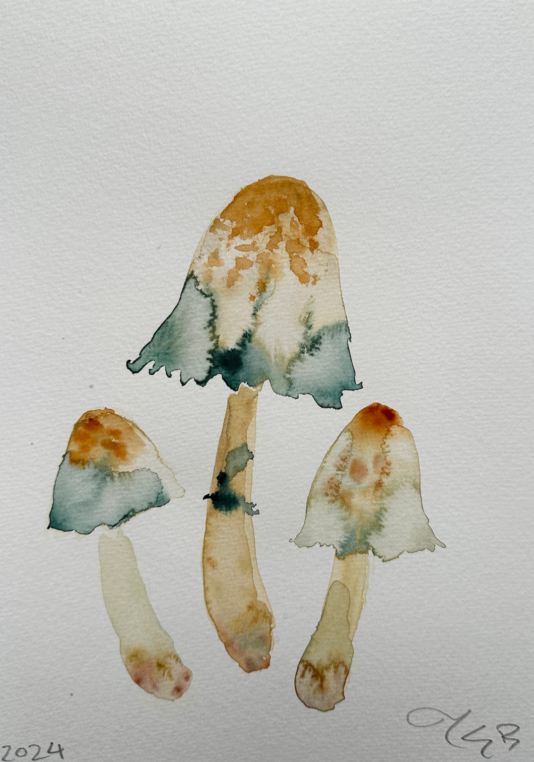 Ink Cap