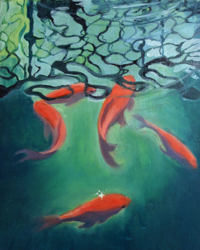 Koi