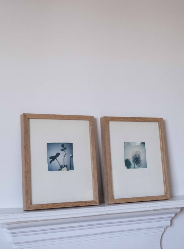 Temperate House Ghost (Framed)
