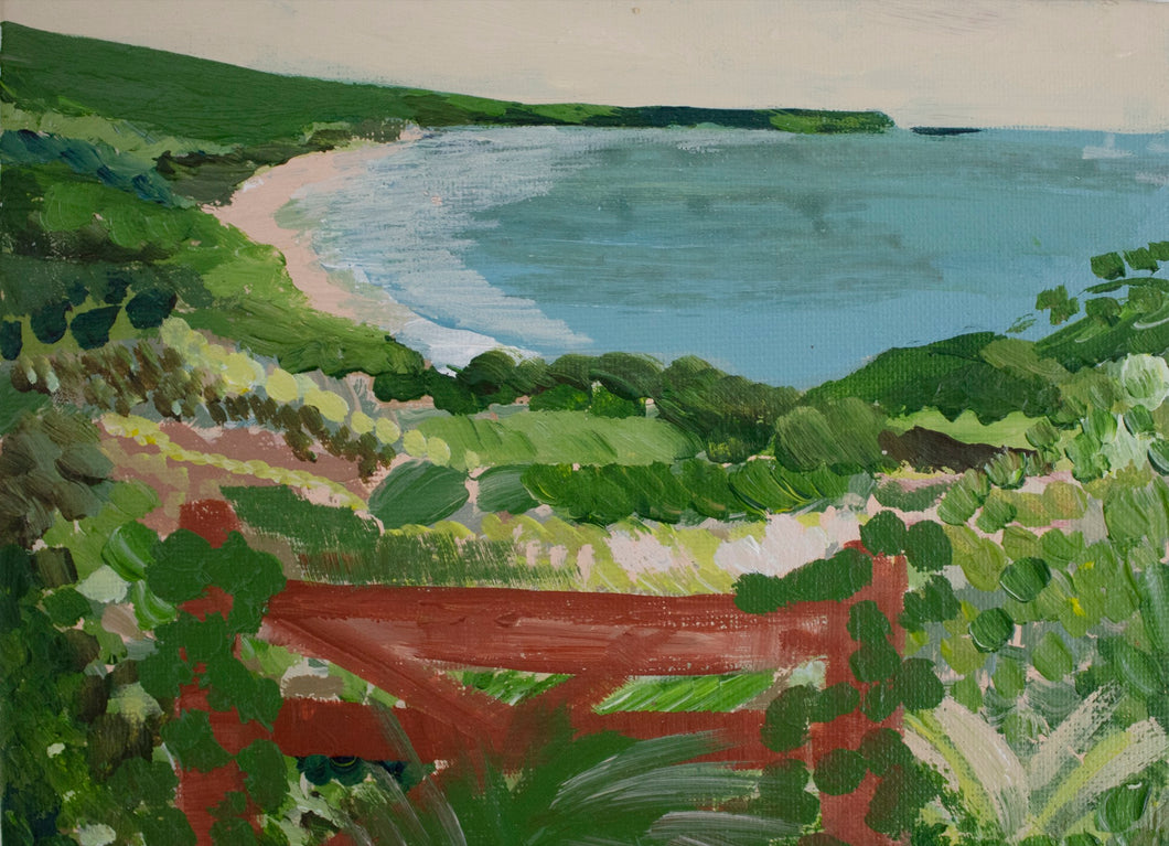 Walking in Devon - woolecombe bay