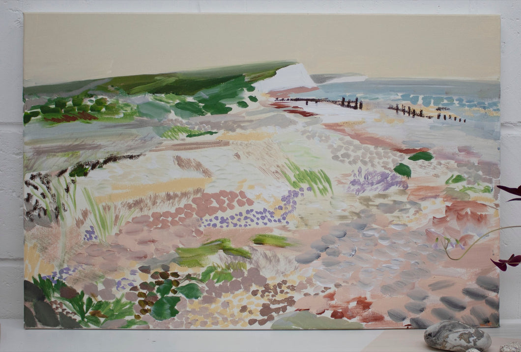 Collecting Rocks At Seven Sisters Coast