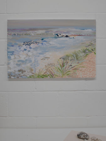 Looking For Seals in Norfolk