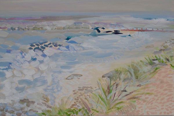 Looking For Seals in Norfolk