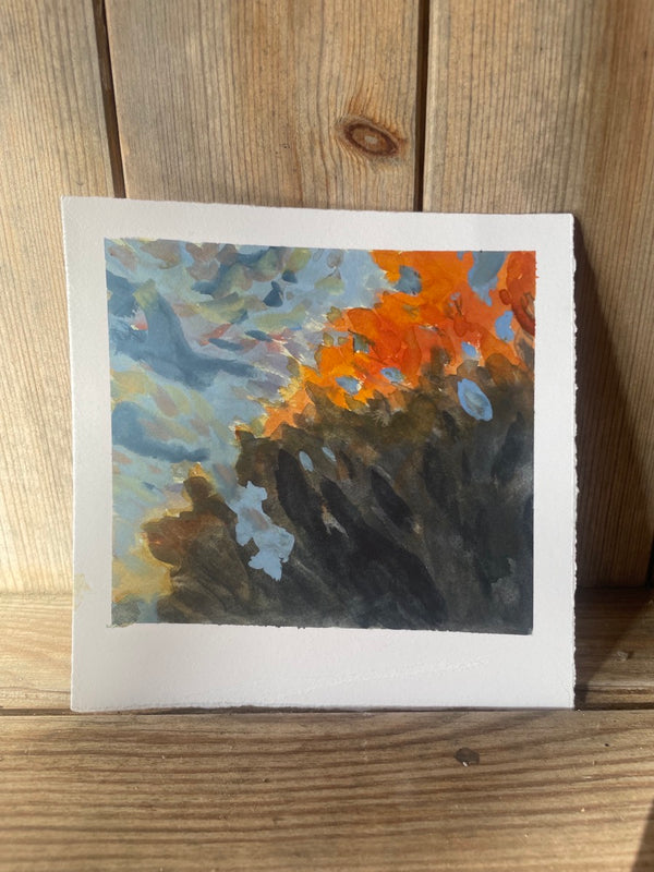 Leaves on fire with the last of the sun
