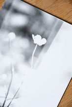 Load image into Gallery viewer, Flowers #1