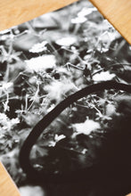 Load image into Gallery viewer, Flowers #3