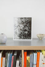 Load image into Gallery viewer, Flowers #4